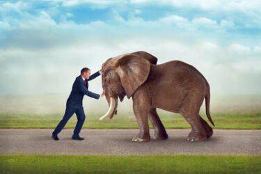 business man challenge as big as an elephant