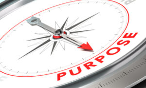 A Purposeful Culture Drives Productivity by Carol Ring