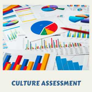 Workplace Cultural Assessment Results