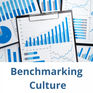 measure benchmark workplace culture